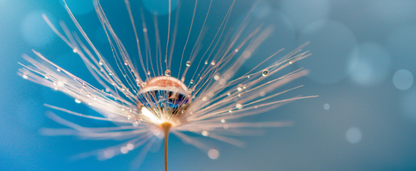 FRAUENZEIT 2026 – Termine & Infos